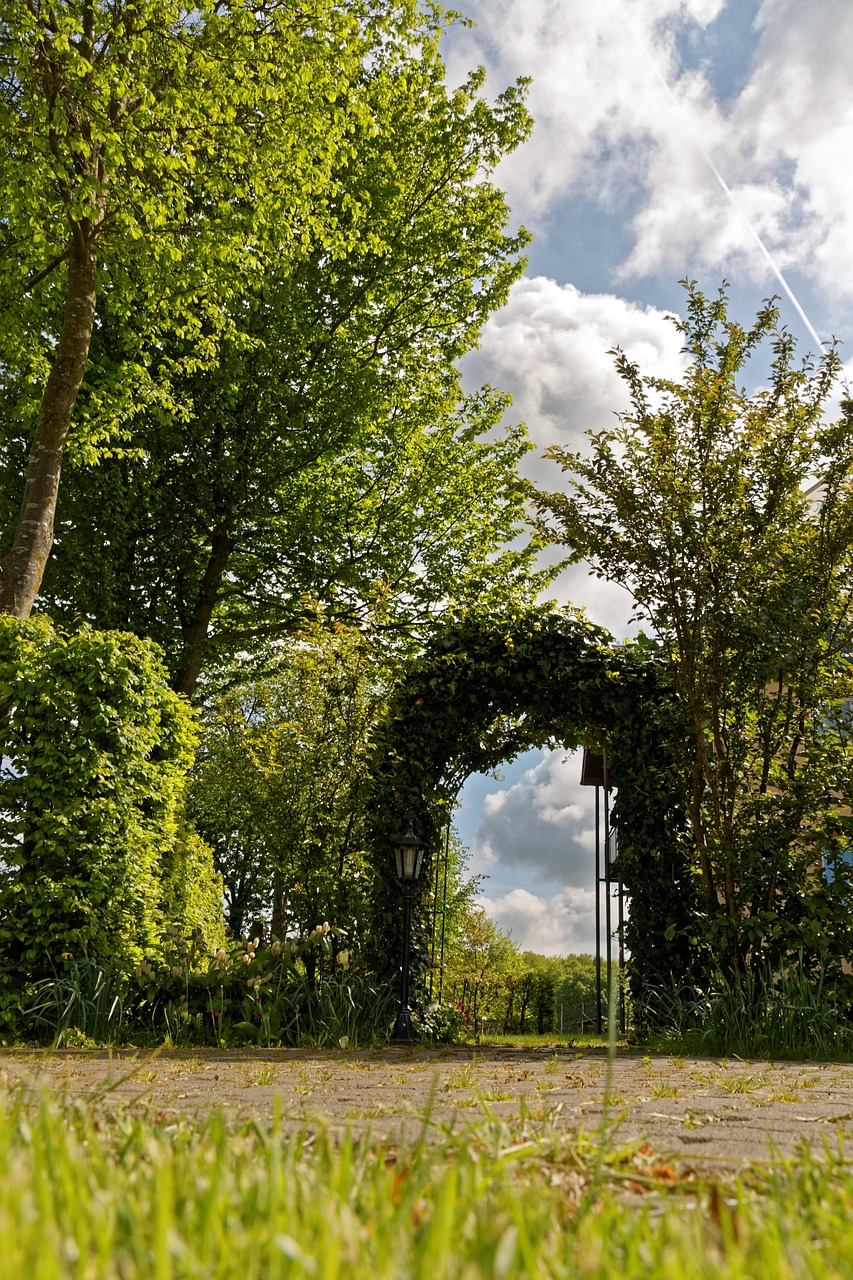 archway rose arch nature free photo