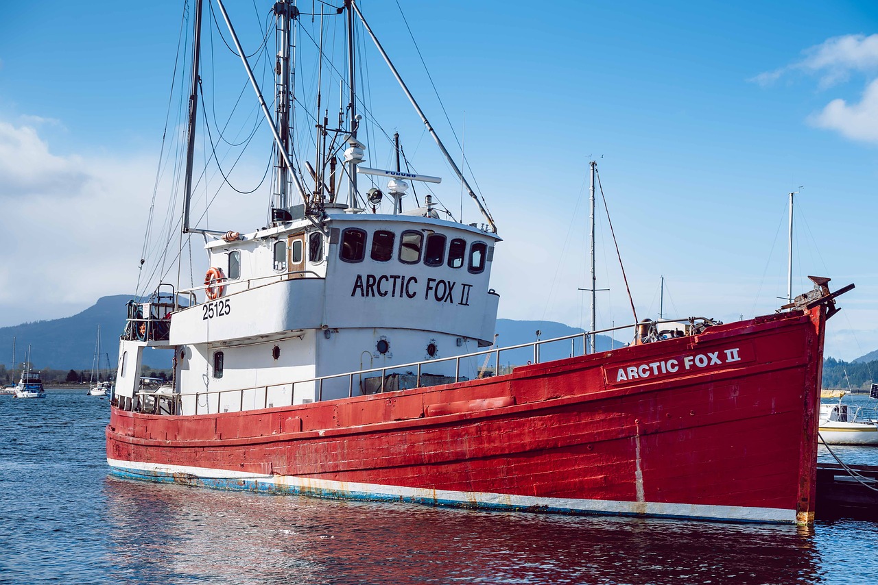 arctic fox  ship  vessel free photo
