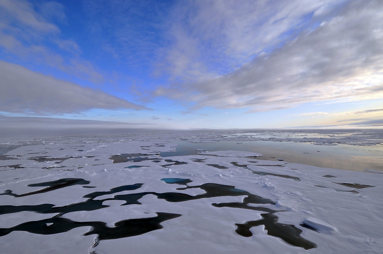 arctic ocean ice sea free photo