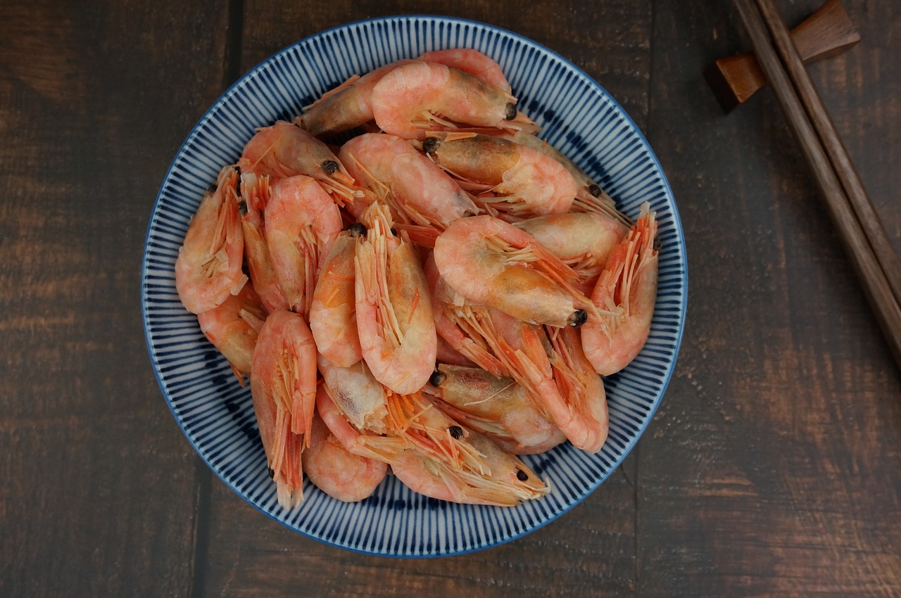 arctic sweet shrimp  cooked frozen arctic sweet shrimp  the best sweet shrimp free photo