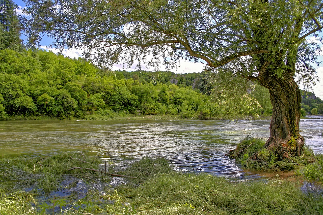 ardèche river canoe free photo