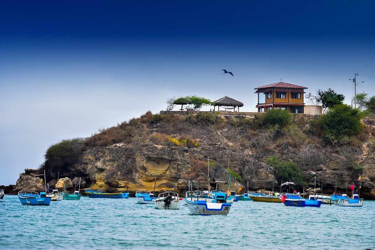 arecife  sea  boats free photo