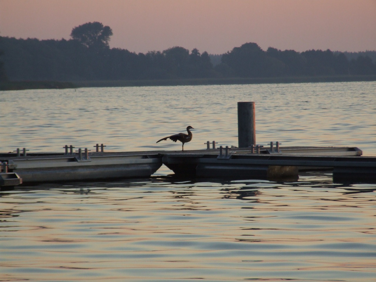 arendsee dawn sunrise free photo