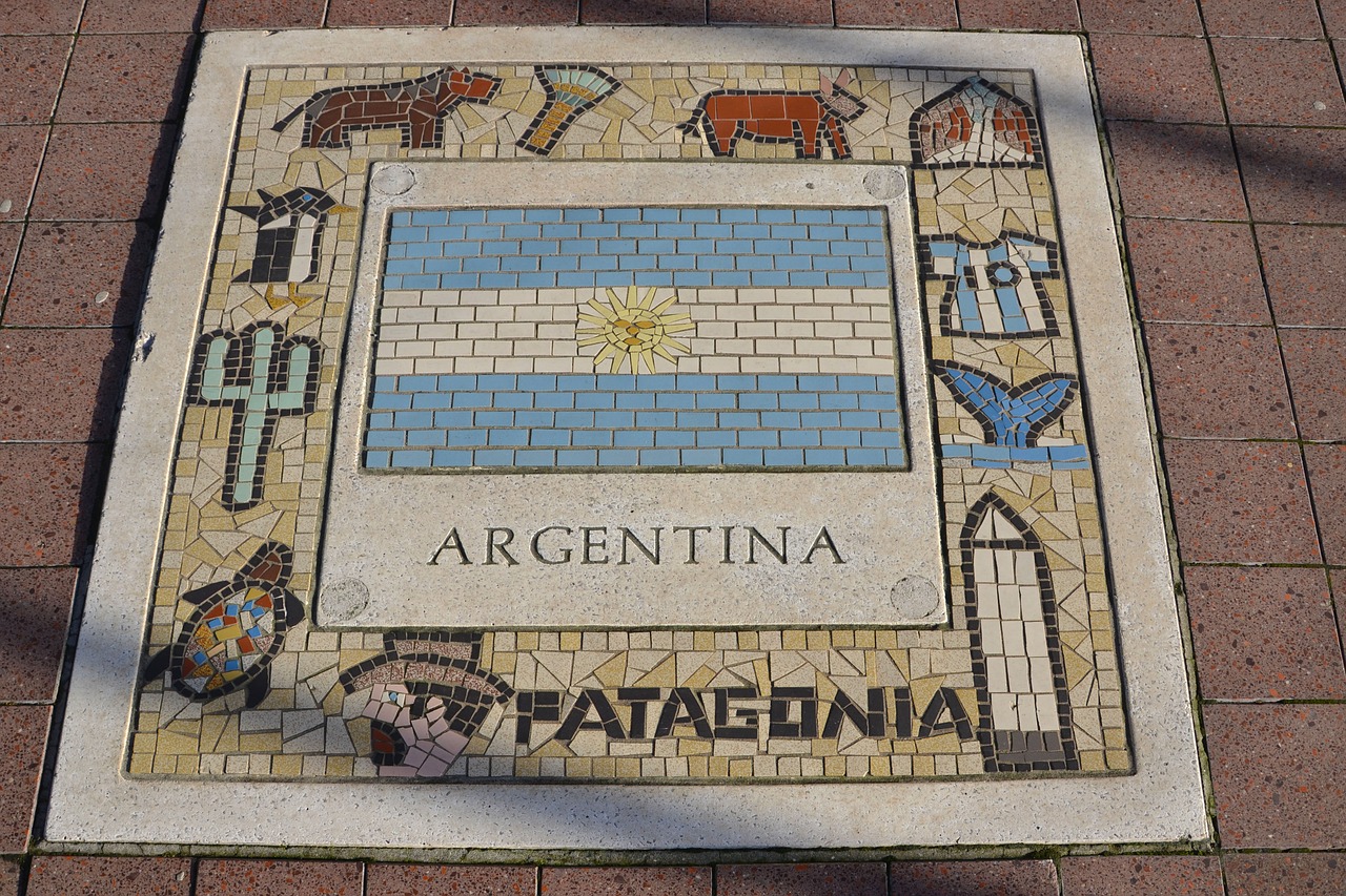 argentina team emblem emblem free photo
