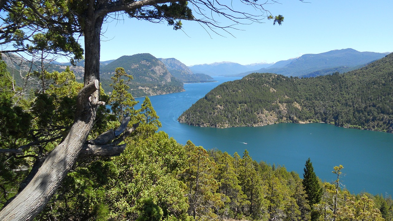 argentina lake natural free photo