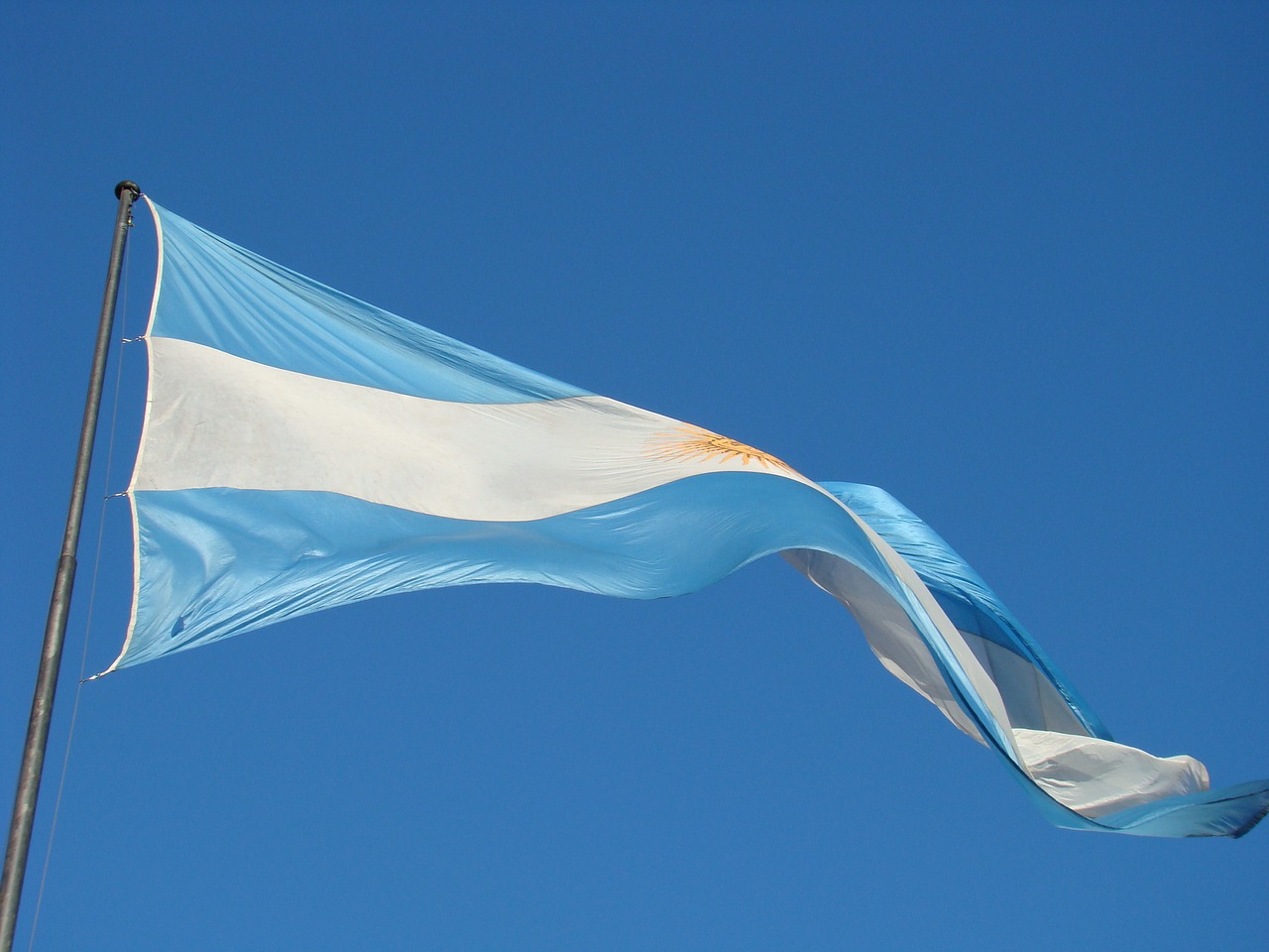 argentina flag national free photo