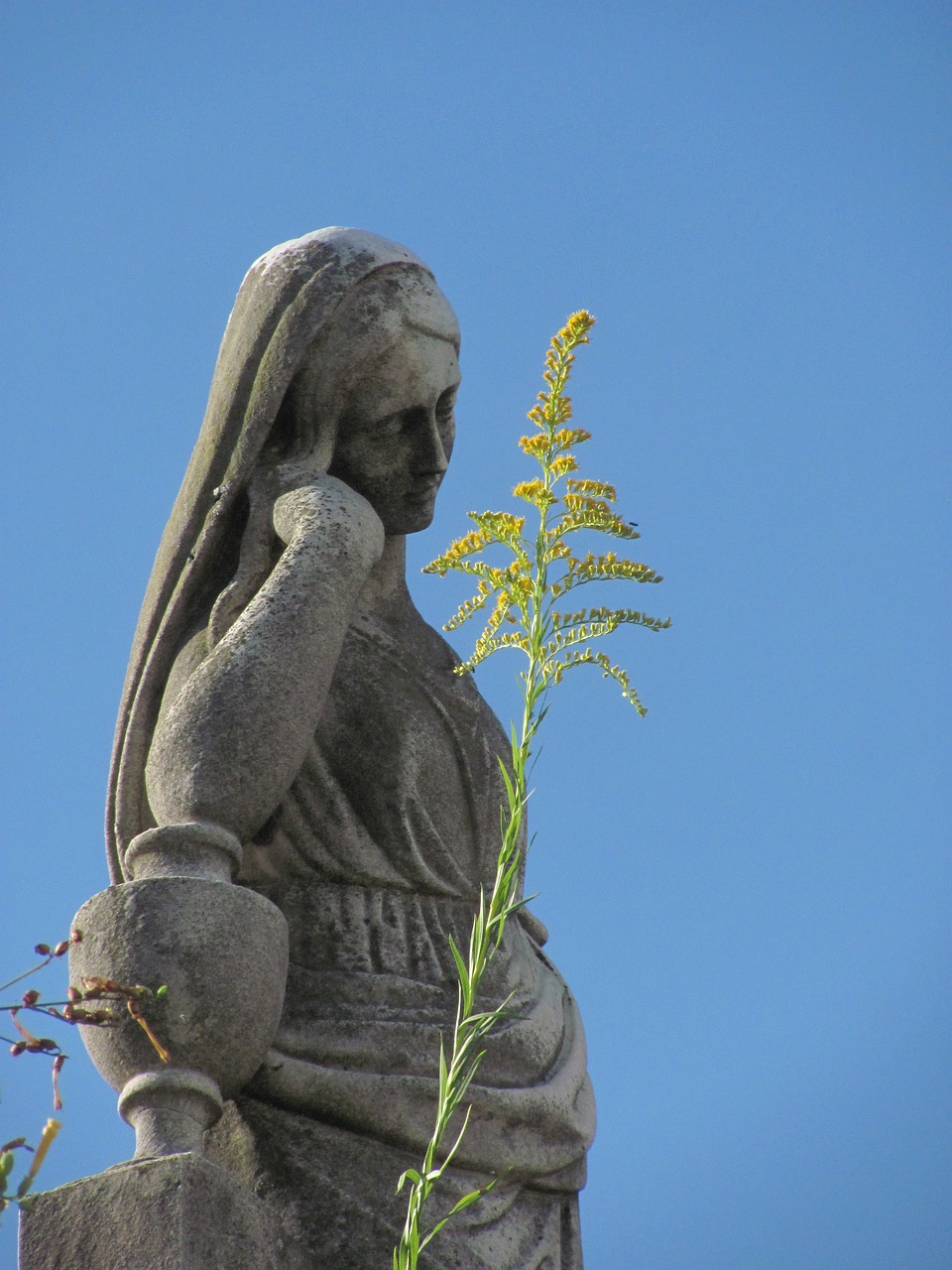 argentina statue urban free photo