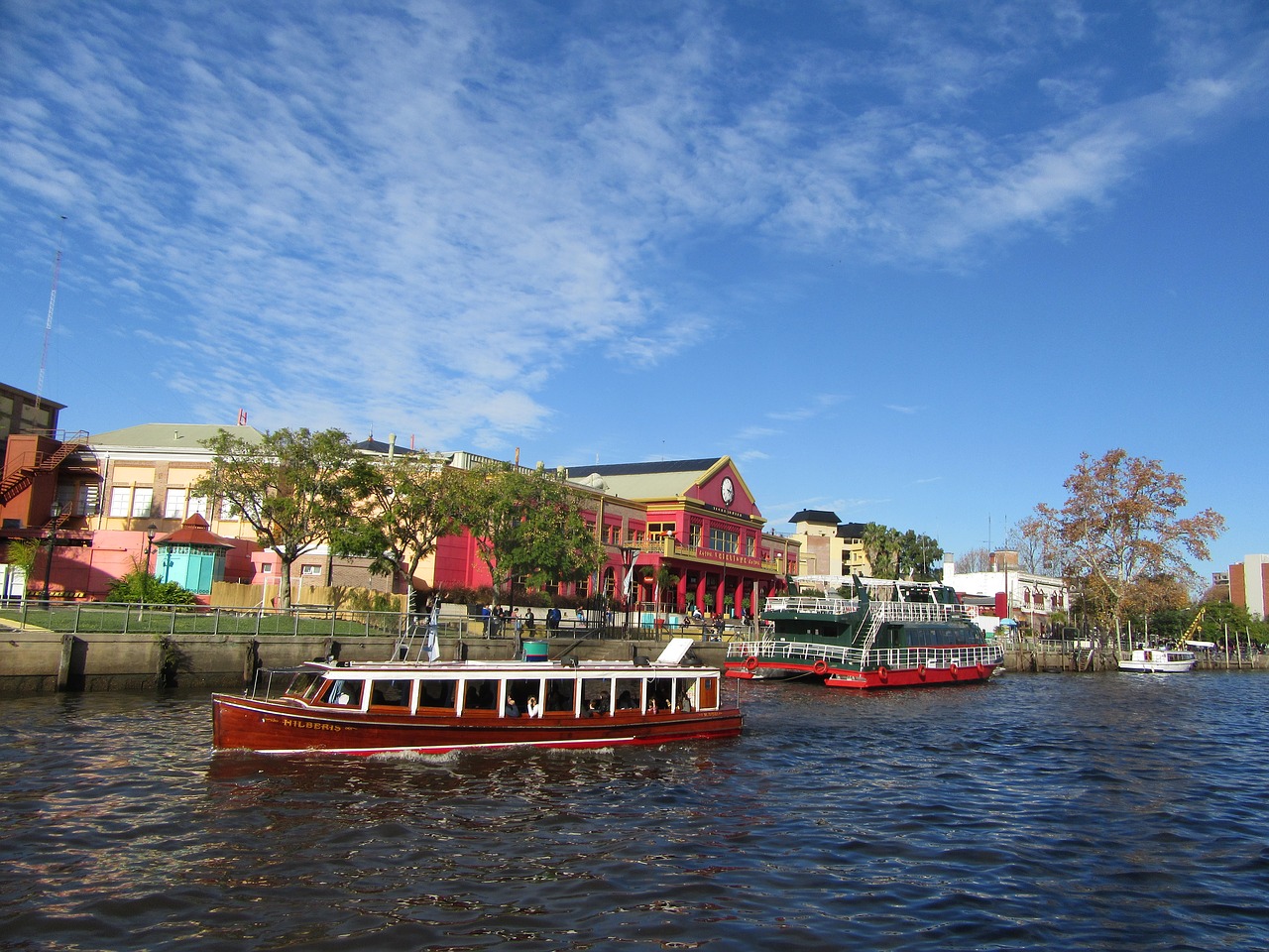 argentina tiger river free photo