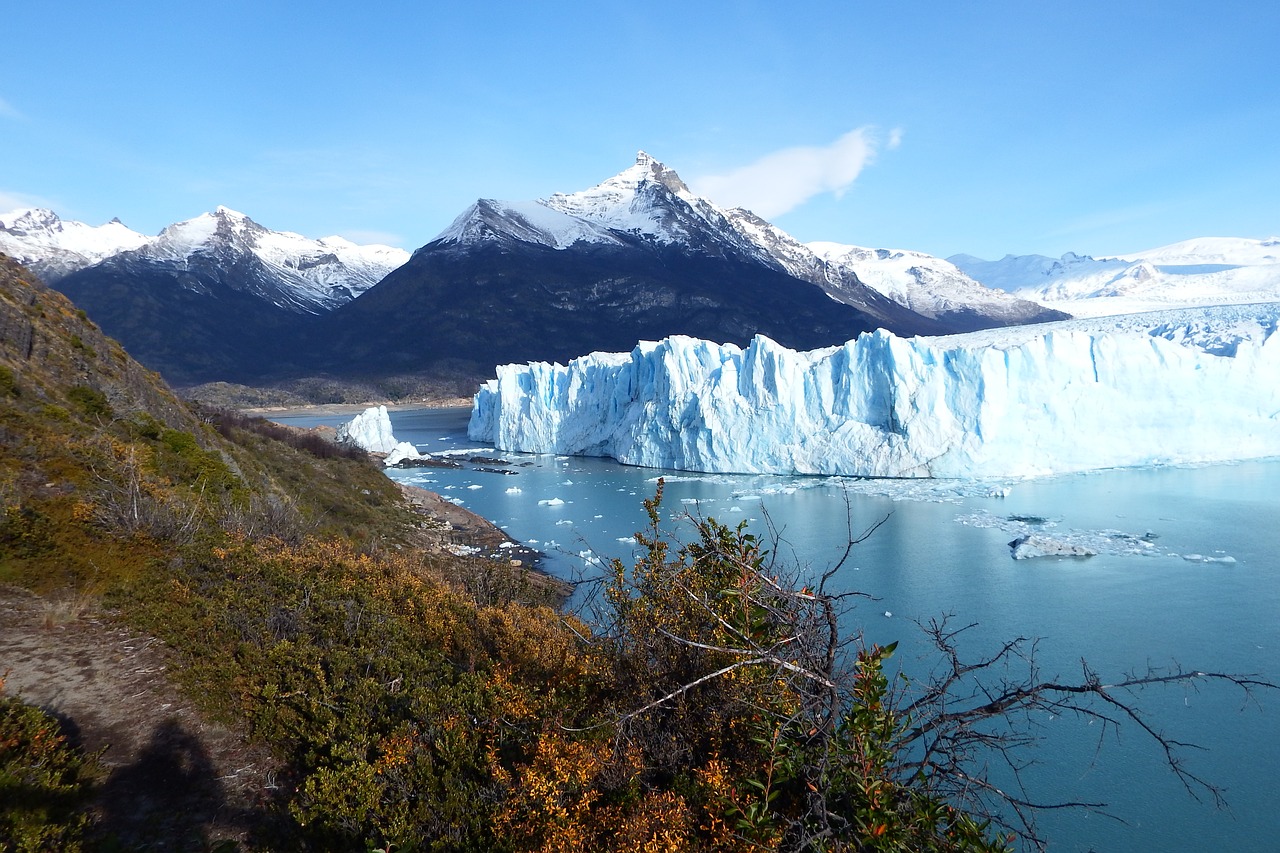 argentina  glacier  expert free photo