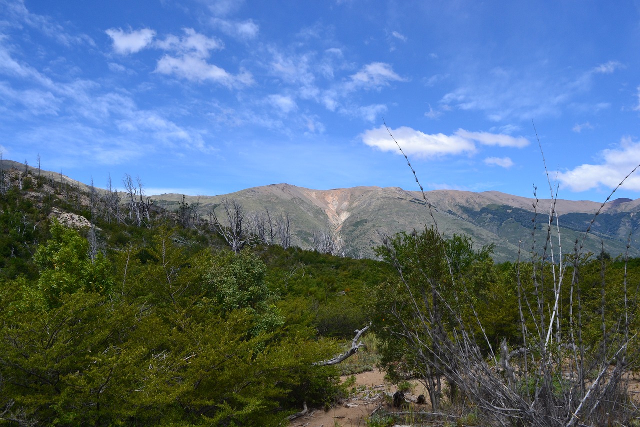 argentina  mountains  sky free photo