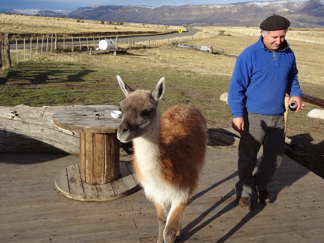 argentina patagonia el calafate free photo