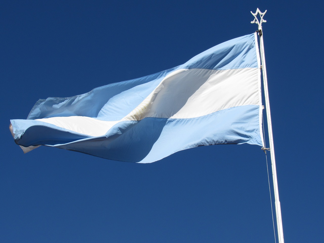 argentina flag wave celeste free photo
