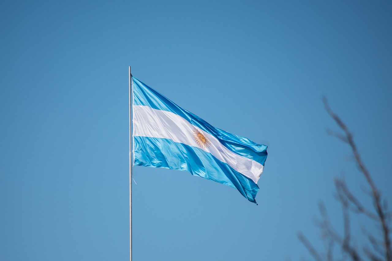 argentina flag  argentina  flag free photo