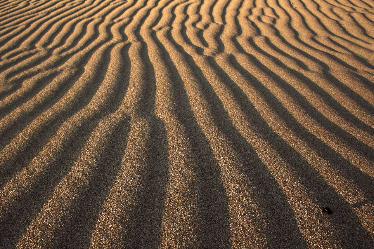 arid barren desert free photo
