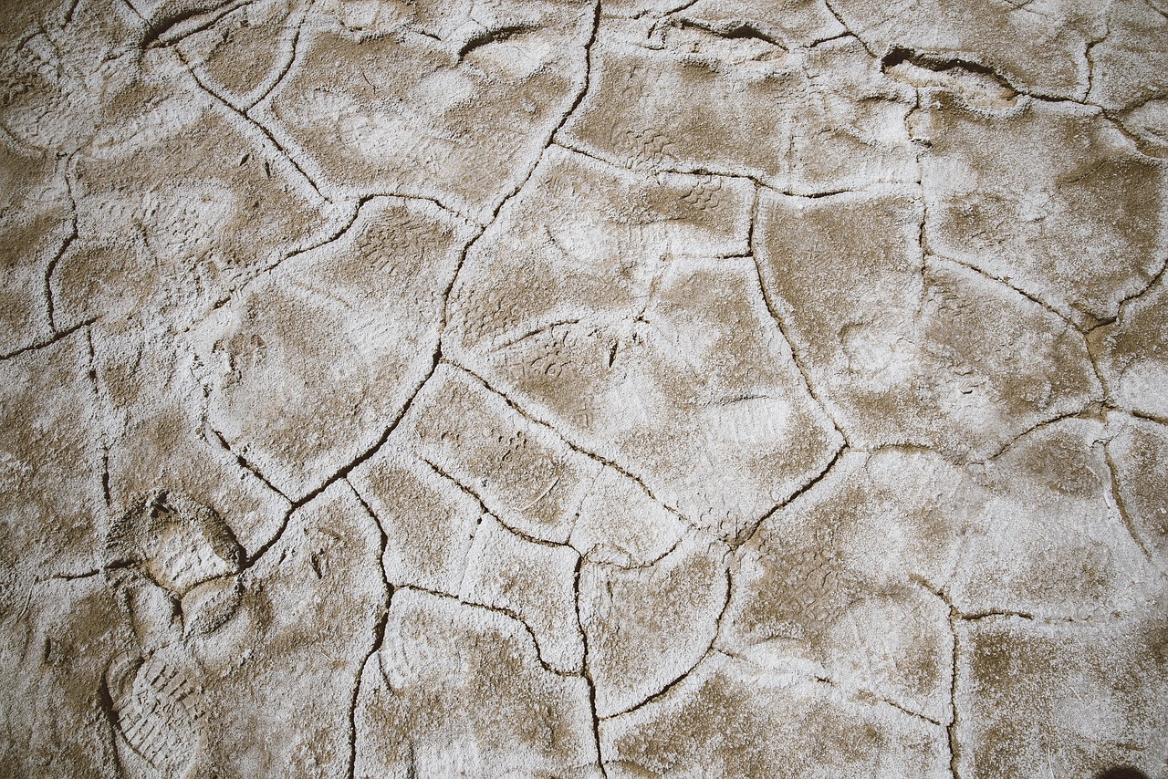 arid barren cracks free photo