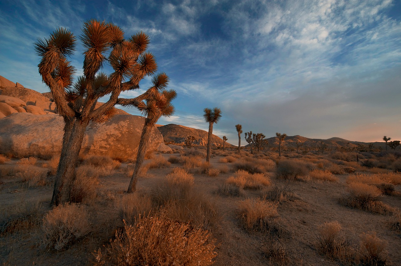 arid barren boulders free photo