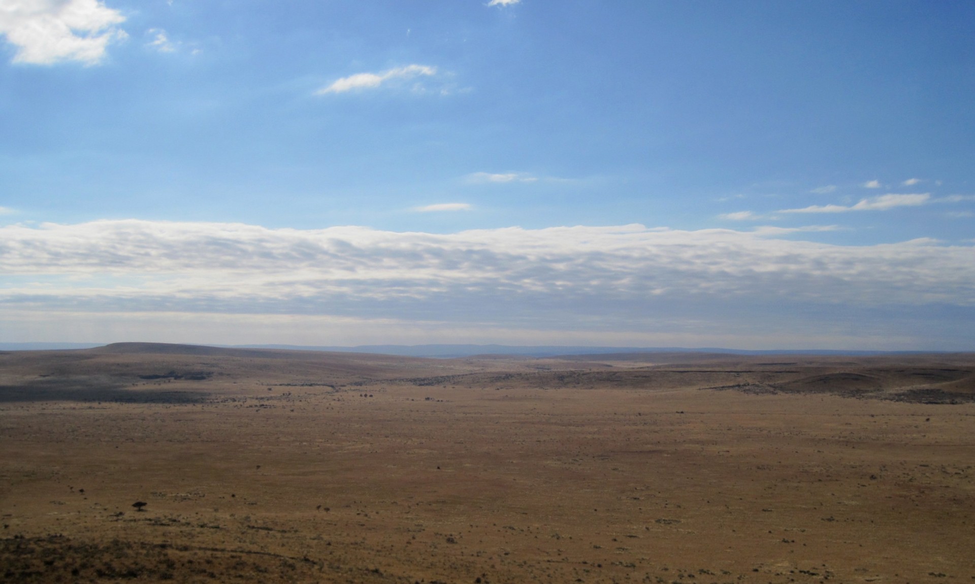 semi-desert dry arid free photo