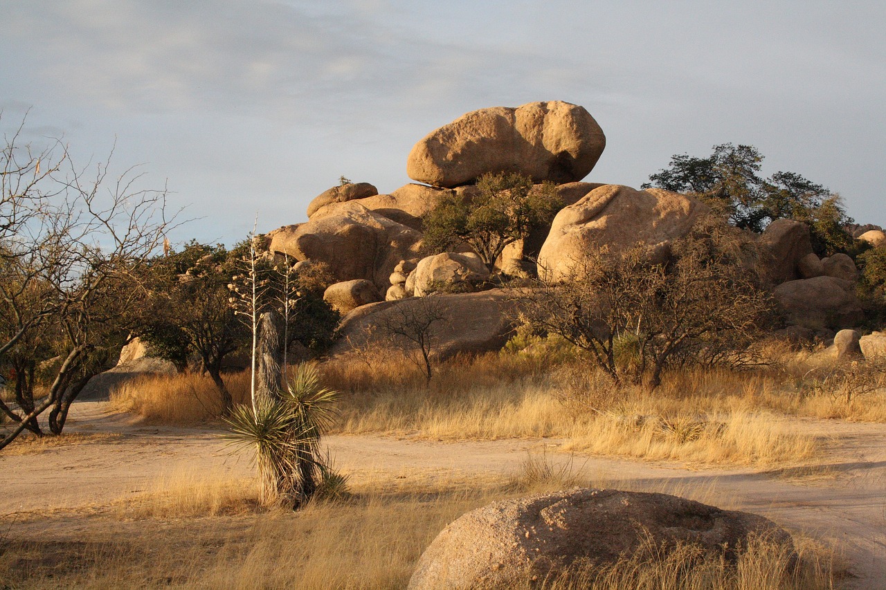 arizona dragoon triangle t ranch free photo