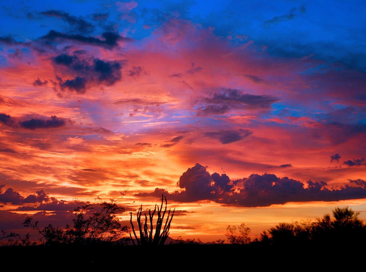 arizona tucson sunset free photo