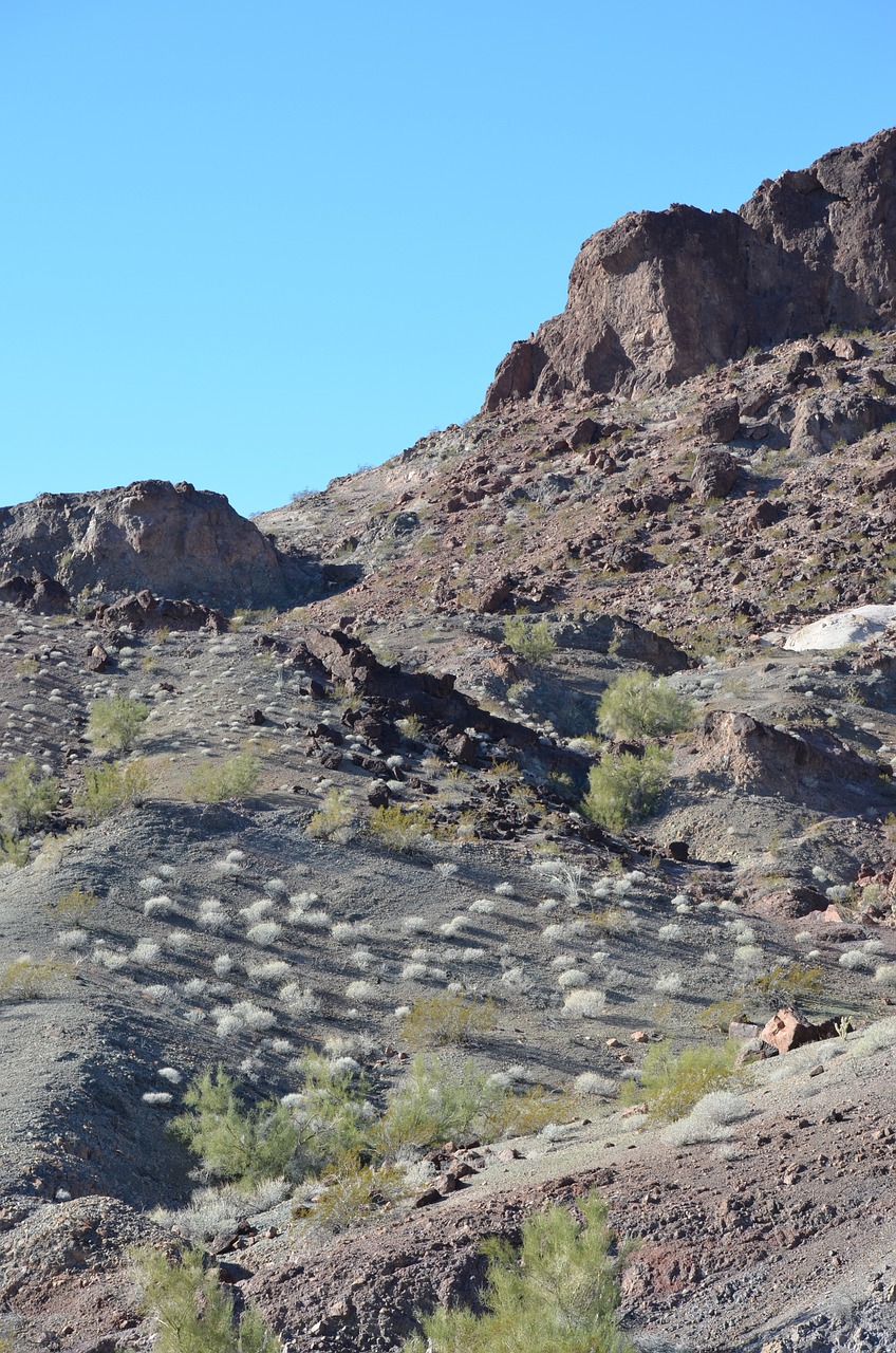 arizona scenic desert free photo