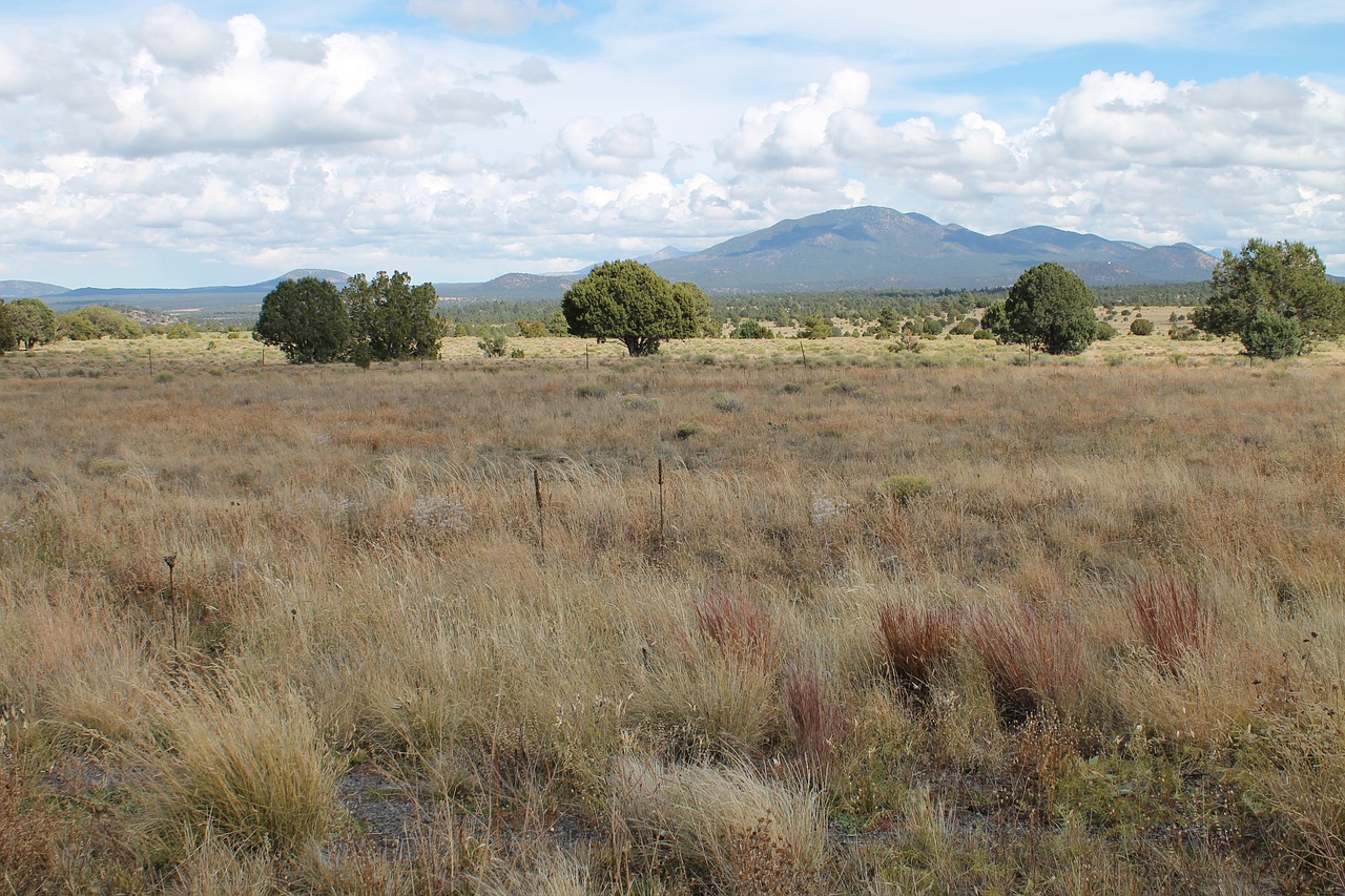 arizona  landscape  mountain free photo