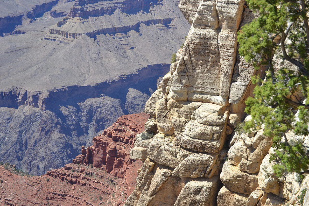 arizona  southern rim  grand canyon free photo