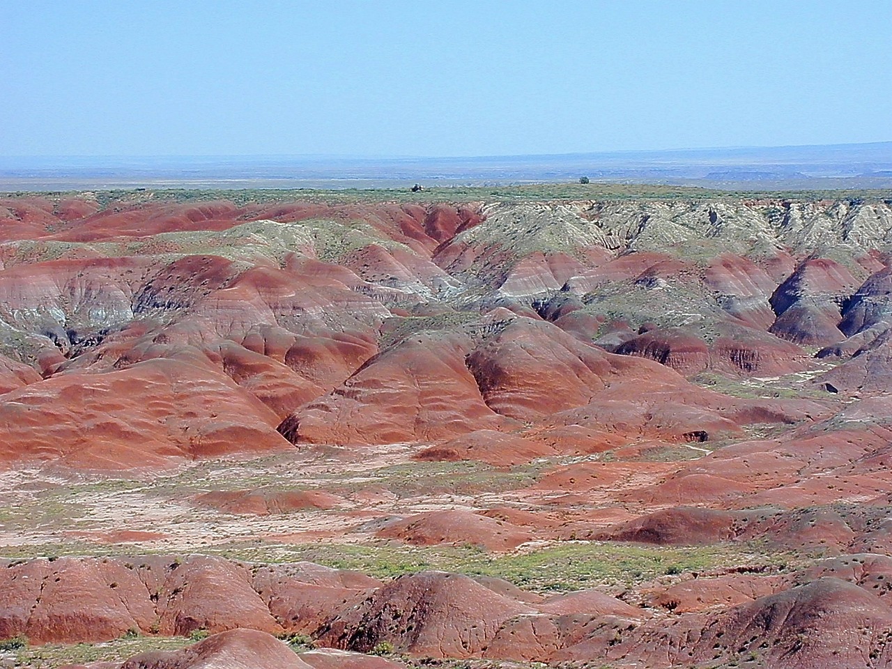 arizona petrified forest national park usa free photo