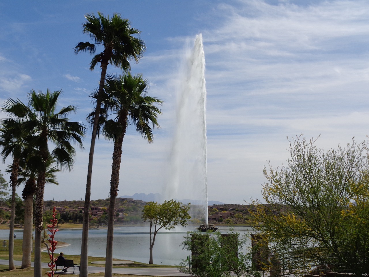 arizona park landscape free photo