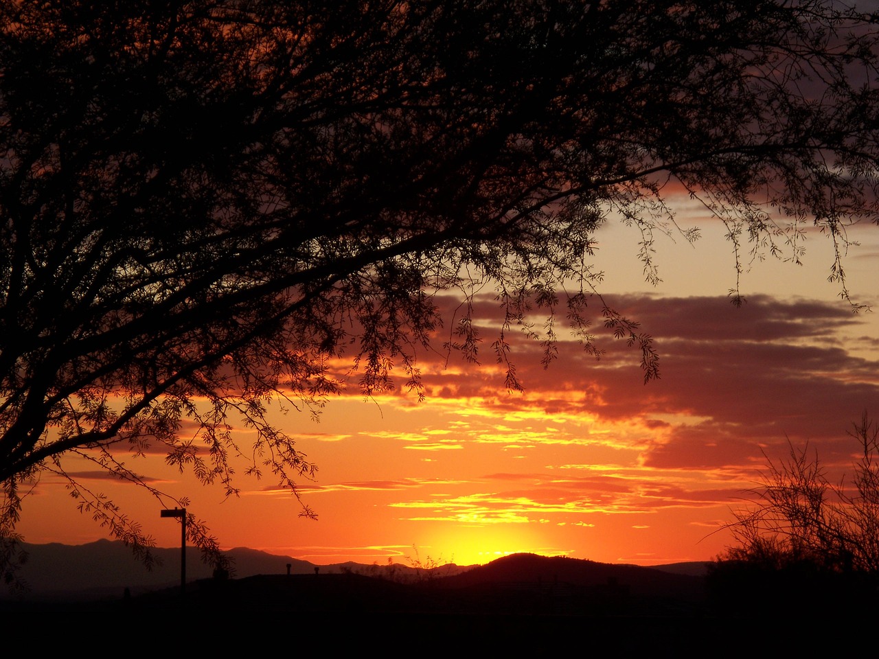 arizona sunset desert free photo