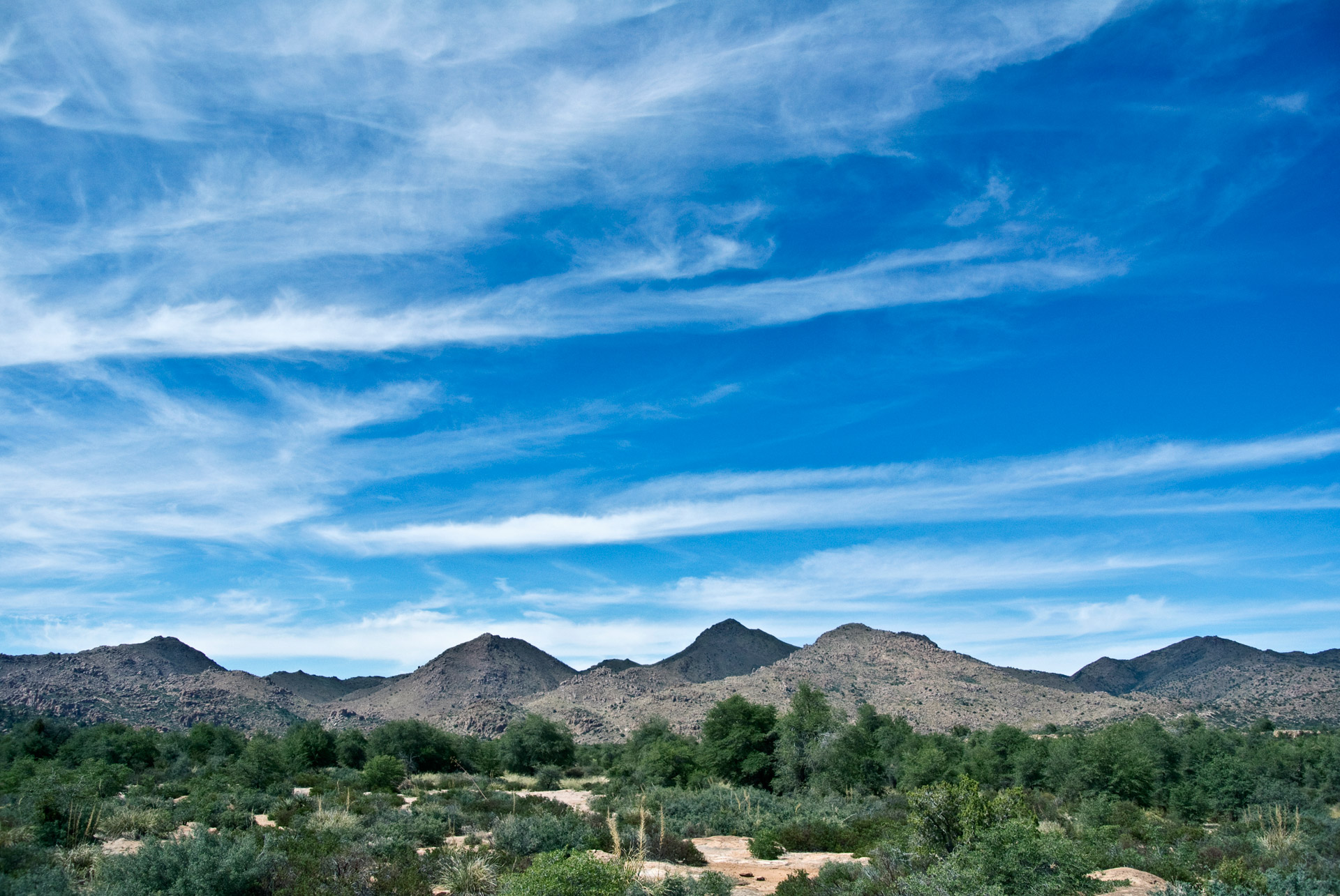 arizona desert landscape free photo