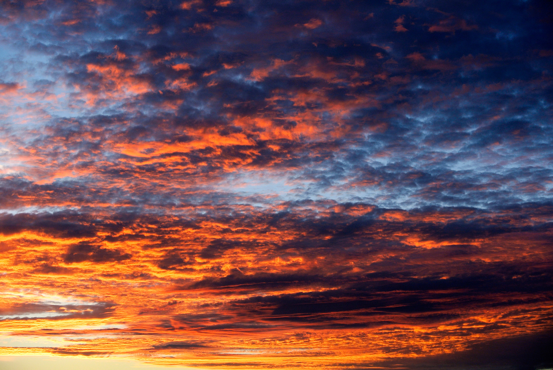 arizona sunrise desert free photo