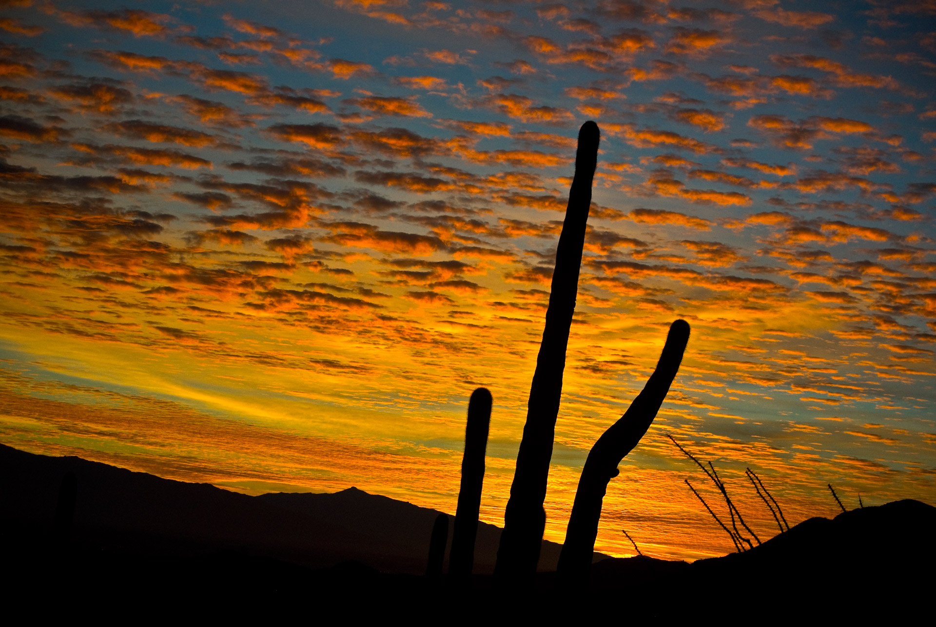 arizona sunrise nature free photo