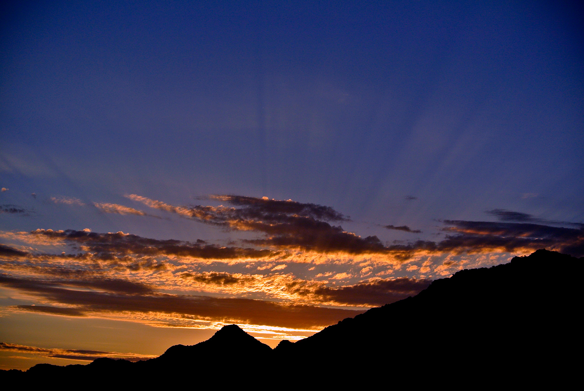 sunset arizona desert free photo