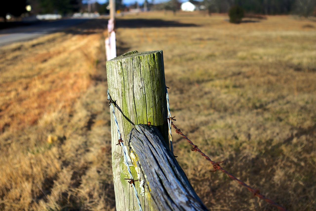 arkansas ozark fence  post  wire free photo