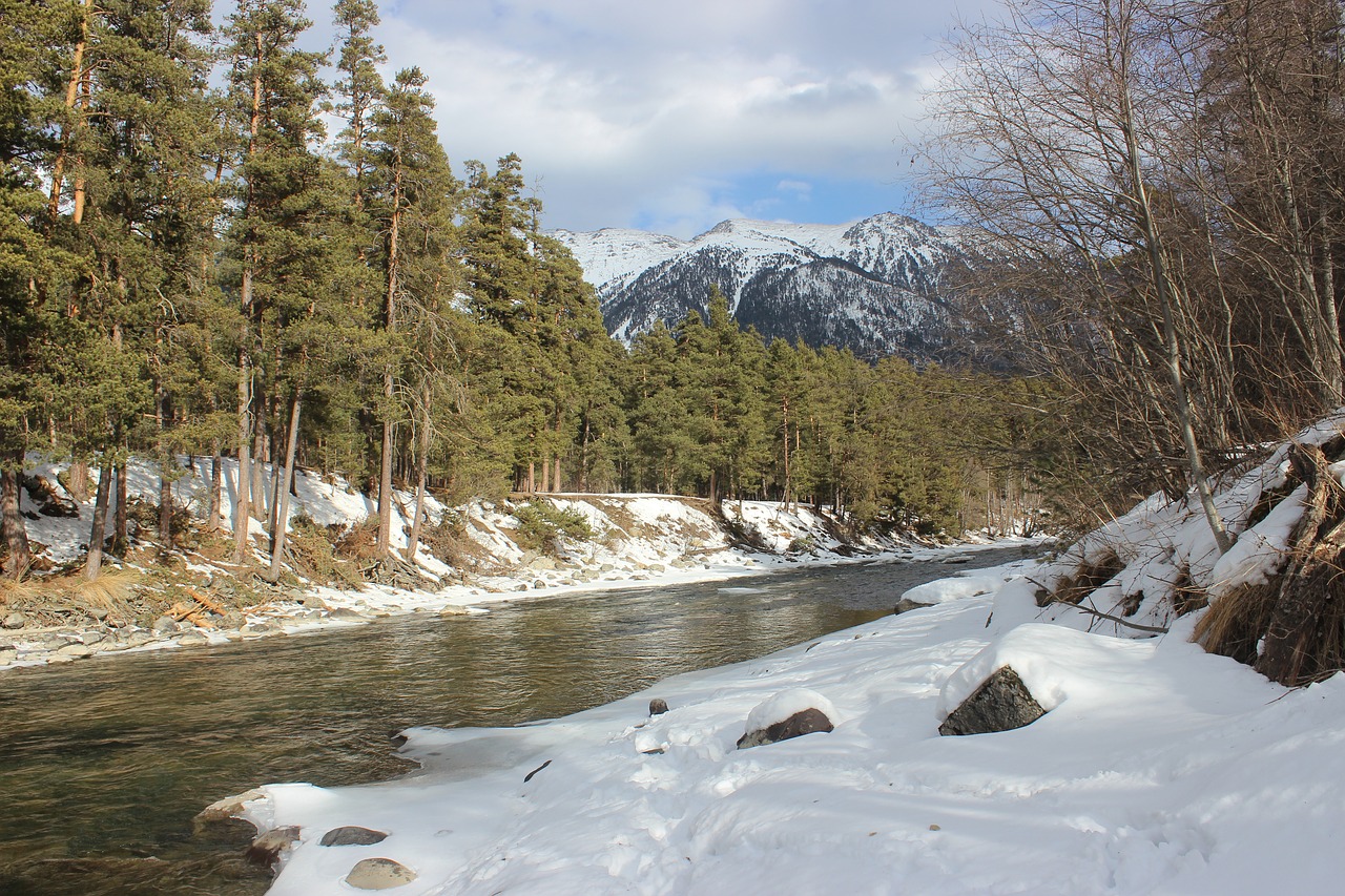 arkhyz mountains forest free photo