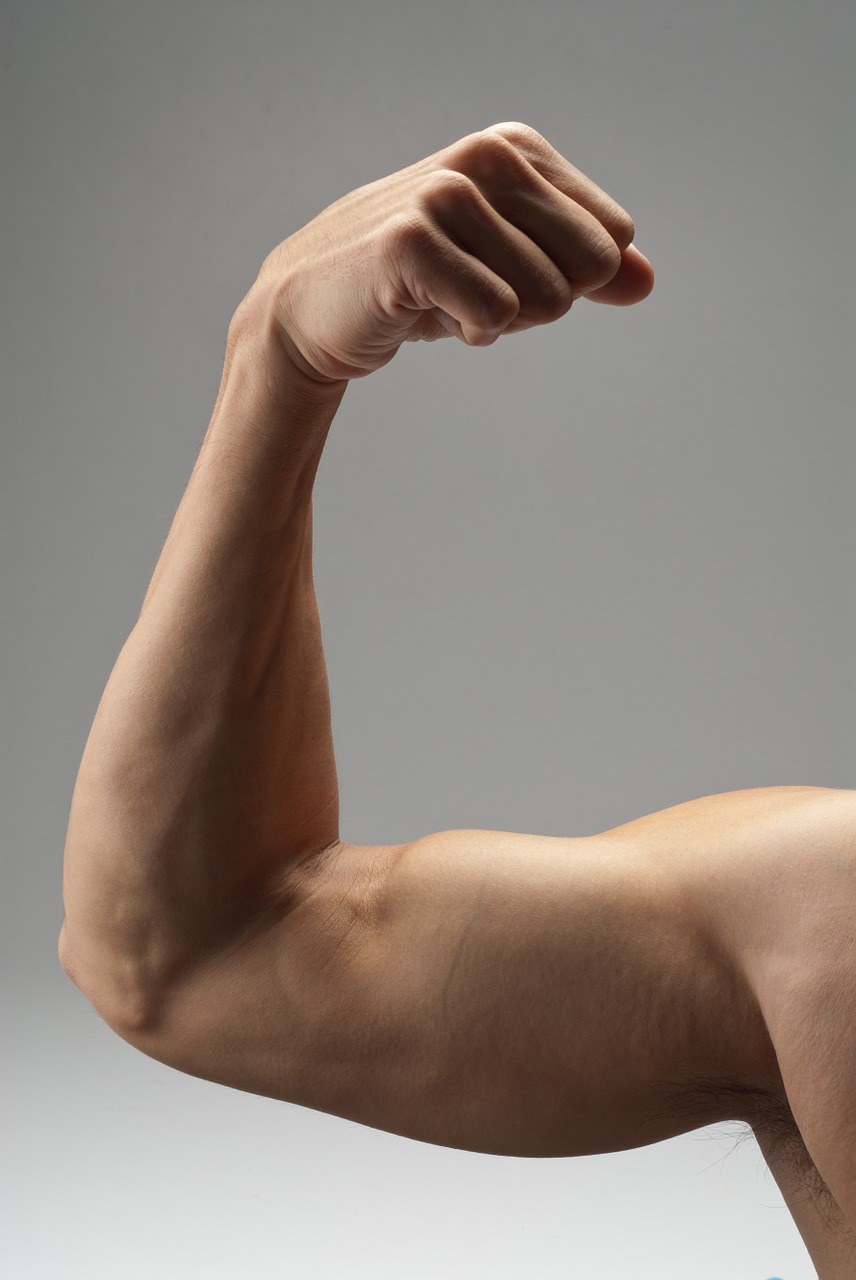 arm muscle strong free photo