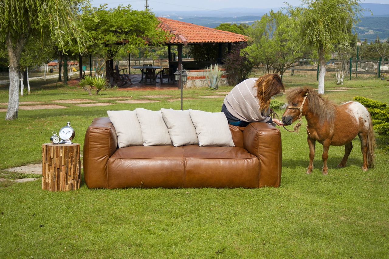 armchair horse furniture free photo