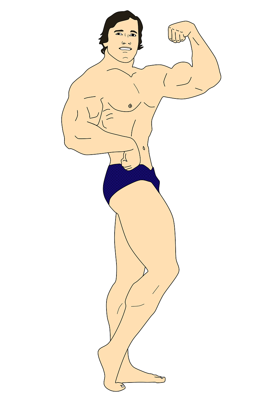 arnold schwarzenegger  muscles  strength free photo