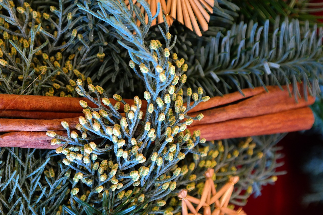 arrangement advent wreath cinnamon sticks free photo