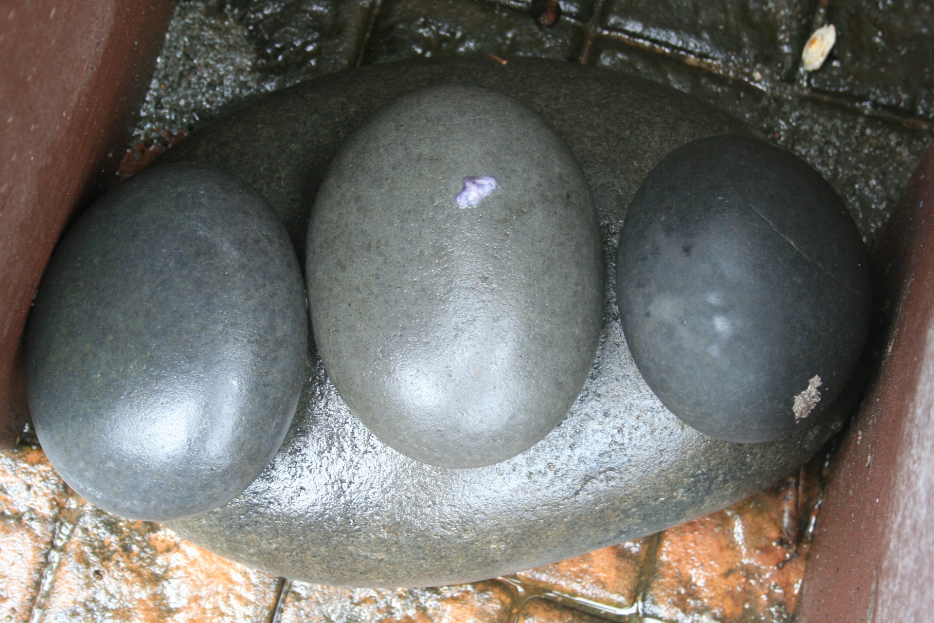 pebbles stones smooth free photo