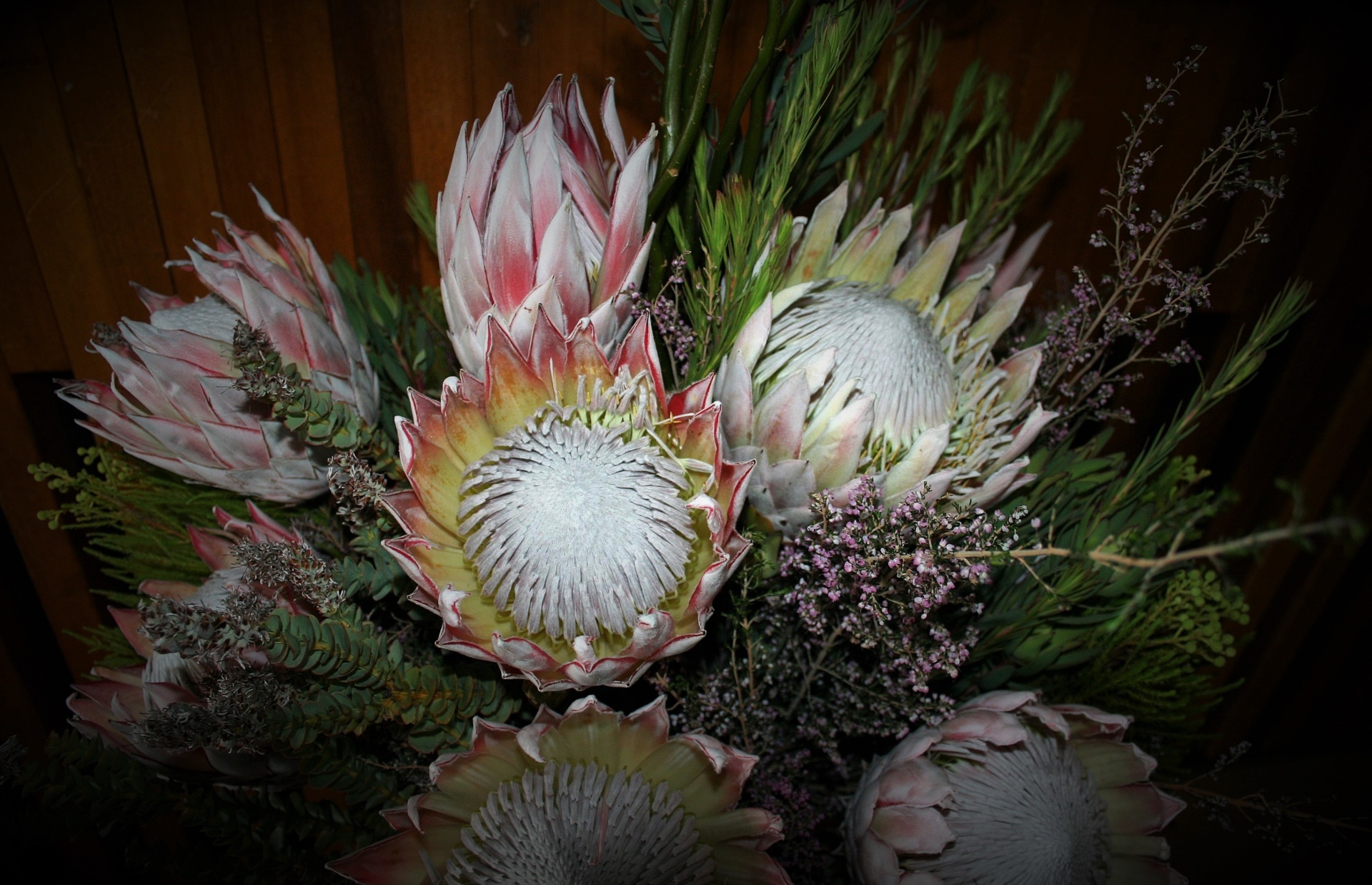 flowers proteas arrangement free photo