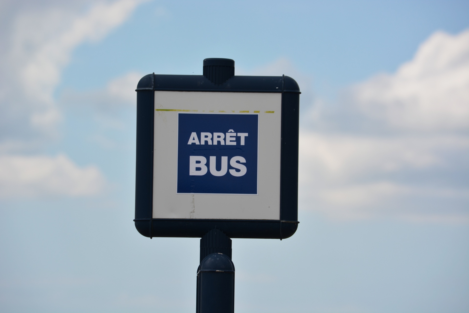 bus transport stops free photo