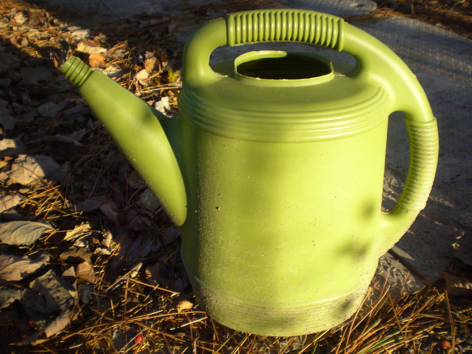 watering can green gardening free photo