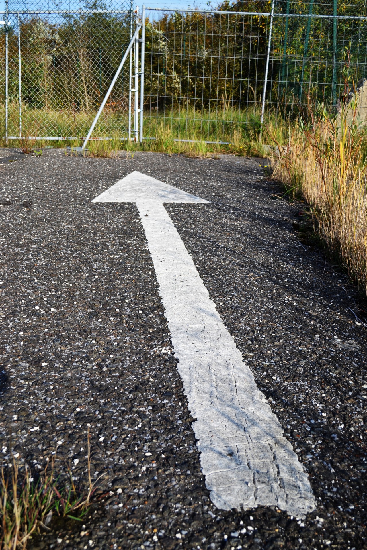 white arrow asphalt free photo