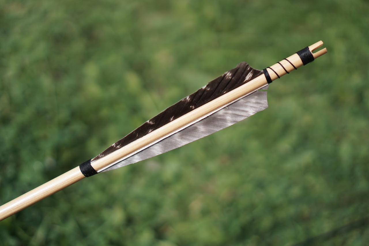 arrow arrows bow and arrow free photo