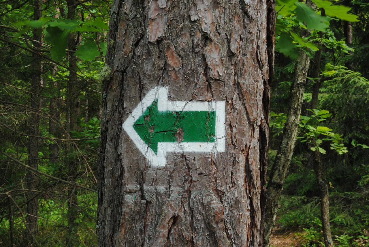 arrow hiking trail tree free photo
