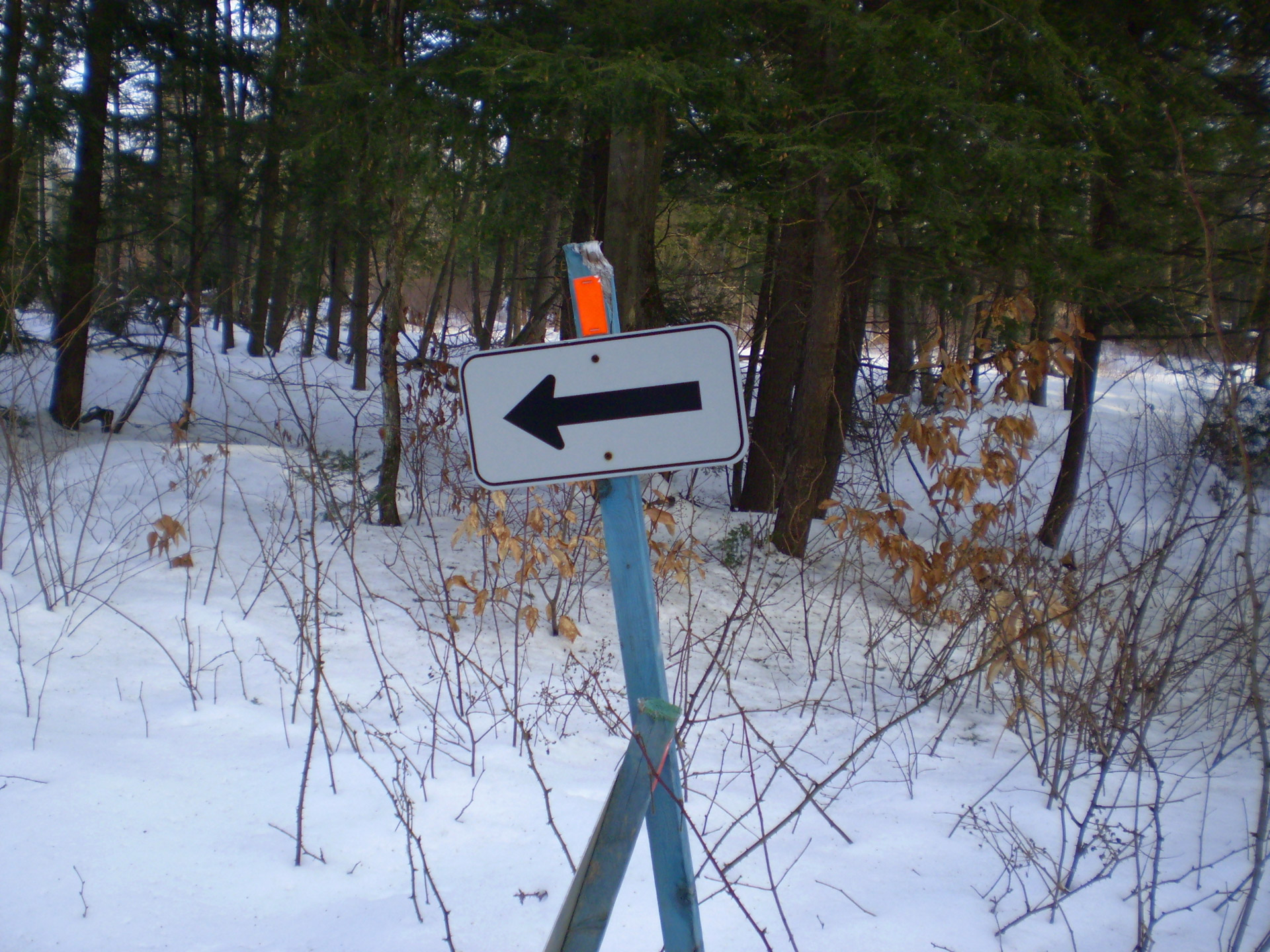 arrow signboard winter free photo