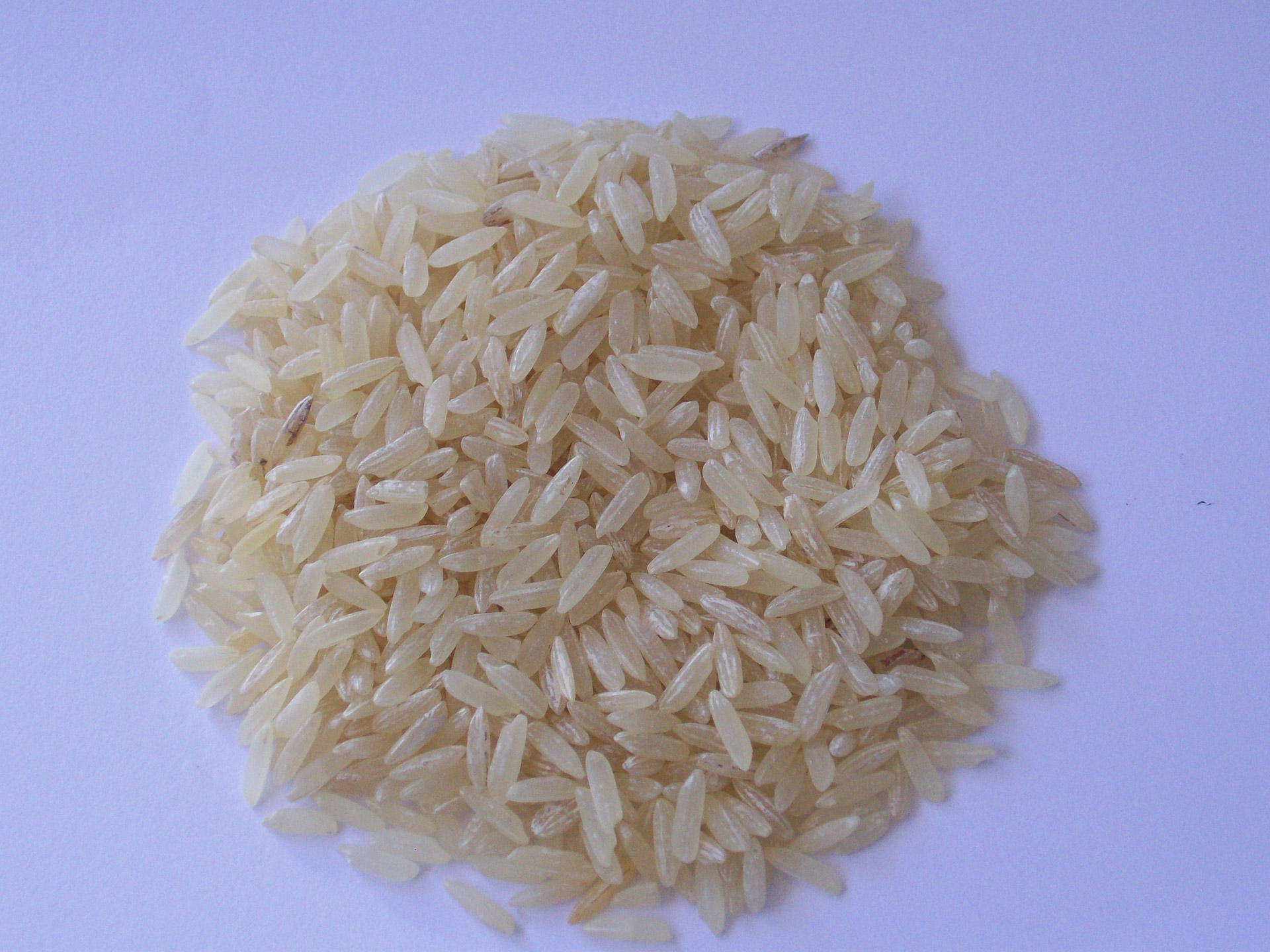 rice white seen free photo