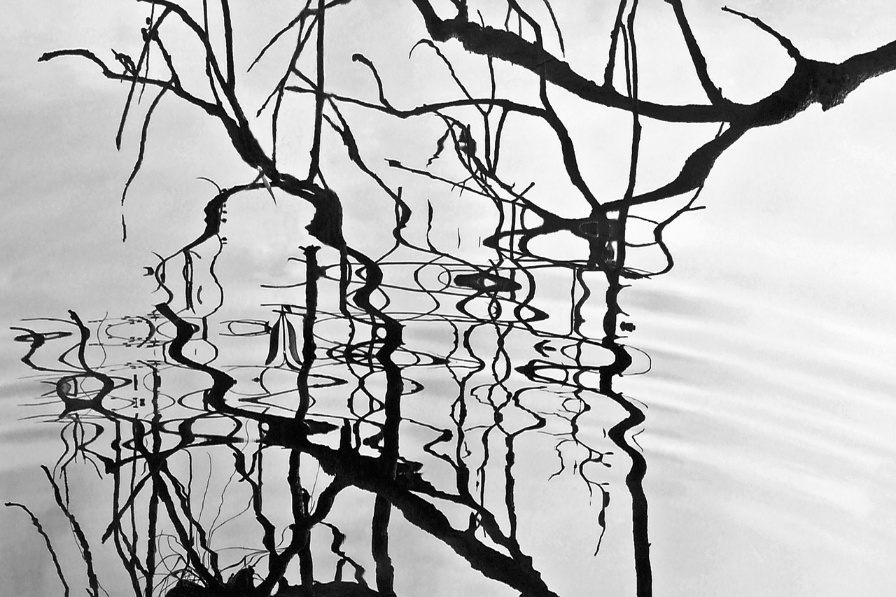 art reflections shadows free photo