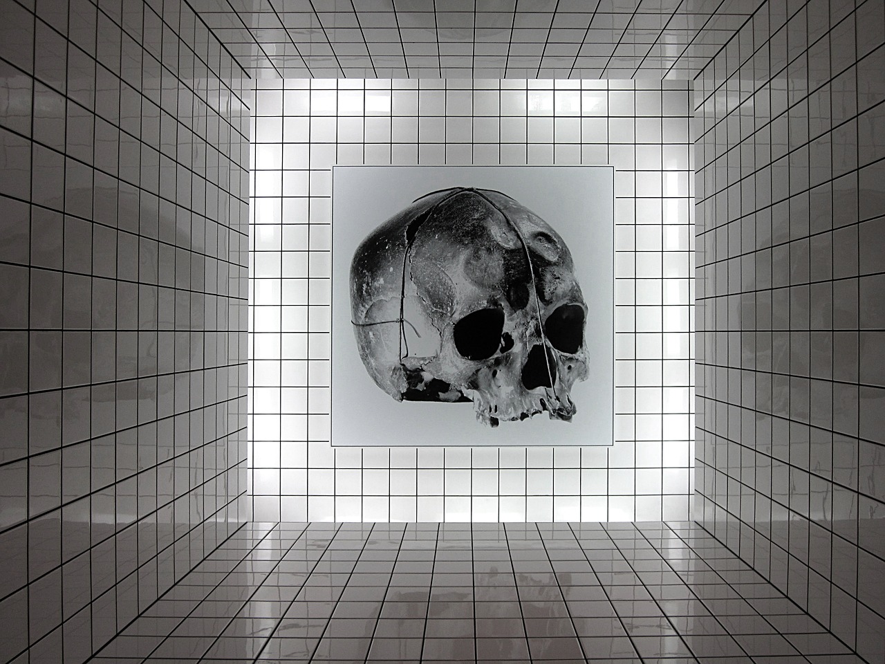 art skull centre pompidou free photo